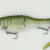 GRASSROOTS - GRAND EDGE 190 SF - SUNSHINE LARGE MOUTH BASS