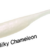NS BLACK HOLE - GWAND DA BAIT - 006 MILKY CHAMELEON