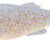 MAJOR CRAFT - STABI SHAD 10 CM - CLEAR