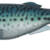 MAJOR CRAFT - STABI SHAD 10 CM - LIVE SABA