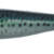 MAJOR CRAFT - STABI SHAD SLIM 10 CM - LIVE IWASHI