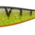 ILLEX - NITRO SHAD 120 - GHOST PERCH