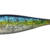 ILLEX - NITRO SHAD 150 - UV SARDINE