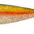 ILLEX - NITRO SHAD 150 - GHOST WAKASAGI