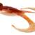 GUNKI - BULL FROG 100 - BROWN SUGAR RED FLK