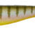 DEXTER SHAD 175 - BLUE GILL