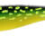 DEXTER SHAD 175 - CRAZY PIKE