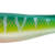 RAM SHAD - 10.5" - SILVER TIGER