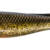 RAM SHAD - 10.5" - GOLDEN SHINER