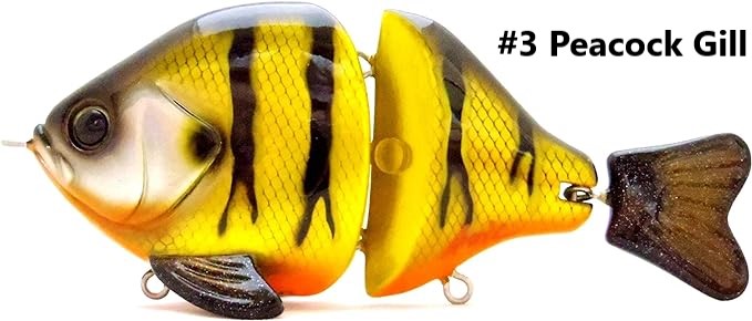Living BGR Jr - 03 Peacock Gill