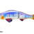 LIGHTREAL S175J - 04 SILVER SHAD