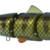 BBZ 6" - WICKED PERCH
