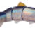 BBZ 6" - BLUE BACK HERRING