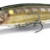 MD MX 110 SR - S07