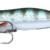 IRIS Walk'R 65 - HERRING
