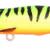 IRIS POP 75 - FIRETIGER