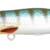 IRIS POP 75 - HERRING