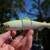 AFFINITY 160 - CHARTREUSE PEARL SILVER