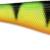 SOFT PETO 18 CM - FT