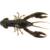 C02 - MUDBUG