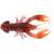 C05 - MAGMA CRAW
