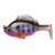 SLEEPER GILL 3.2 - SECRET GILL