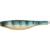 9" SSK - PERCH / GOLD