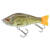 SCUNNER 175 S TWIN NATURAL SKIN - PIKE
