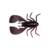 FUWABUG 2.5" - BLACK BACK CLEAR RED