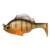 SLEEPER GILL 3.2 - PERCH
