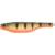 RED FIN PERCH / SILVER