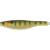9" SSK - GALAXY GILL / GOLD