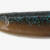 ISANA 8" - #03 Cinamon Blue Flake Back