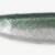 ISANA 8" - #09Green Perl Shiner