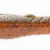RUSTY CRAW