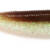 ISANA 4.8" - #04 Ambersinner