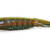 BLLT 35 - C-02