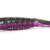 BLLT 35 - C-26