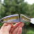 LAUGHIN 170 - AMERICAN SHAD