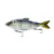 Trace 7.25 - Live Shad
