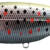 JB 150-S - 06 BROWN TROUT