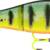 16 CM - TEMENSIS