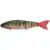 BALAM 200 - RED FIN PERCH