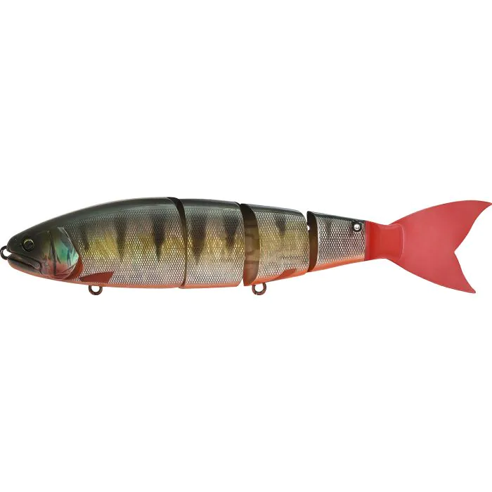 Madness_Balam245_RedFinPerch_9be7.JPG