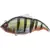 VATALION 115F - RED FIN PERCH