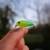 Arco Crank 40F-SR - #08
