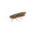 BG 20 - C29