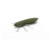 BG 20 - C33